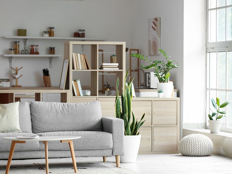 Arredare con i libri: trasformare gli spazi con stile e cultura